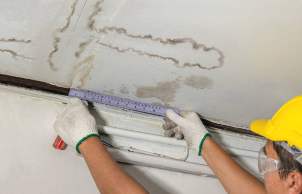 Reliable Water Damage Repair contractor in Shelton, WA by Hirex Water Damage